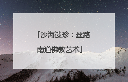 沙海遗珍：丝路南道佛教艺术