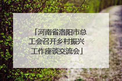 河南省洛阳市总工会召开乡村振兴工作座谈交流会