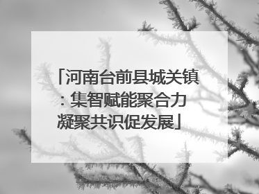 河南台前县城关镇：集智赋能聚合力 凝聚共识促发展