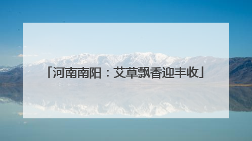 河南南阳：艾草飘香迎丰收