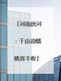 河南唐河：千亩油蟠桃喜丰收