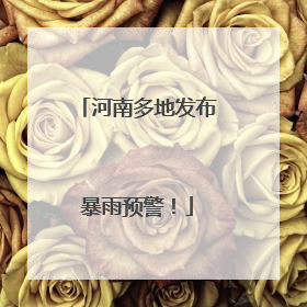 河南多地发布暴雨预警！