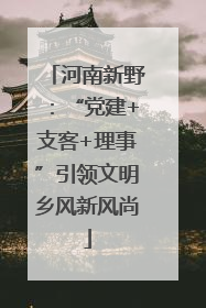 河南新野：“党建+支客+理事”引领文明乡风新风尚