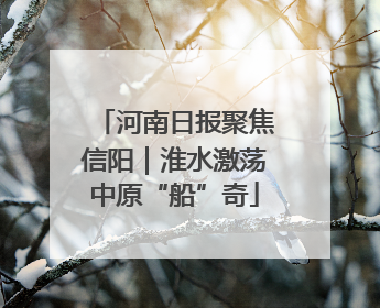 河南日报聚焦信阳｜淮水激荡中原“船”奇
