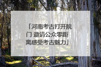 河南考古打开院门 邀请公众零距离感受考古魅力