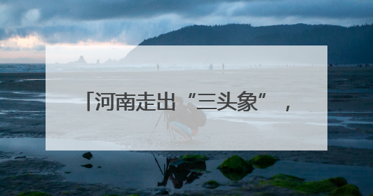 河南走出“三头象”，一头驮着Labubu
