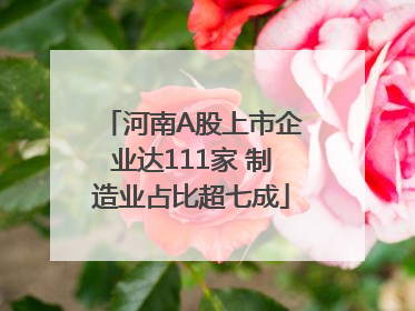 河南A股上市企业达111家 制造业占比超七成