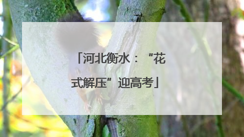 河北衡水：“花式解压”迎高考