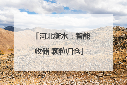 河北衡水：智能收储 颗粒归仓