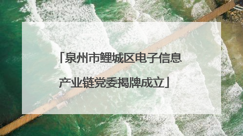泉州市鲤城区电子信息产业链党委揭牌成立