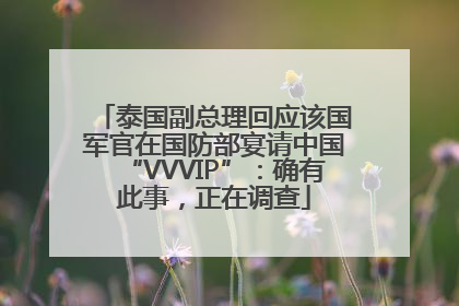 泰国副总理回应该国军官在国防部宴请中国“VVVIP”：确有此事，正在调查