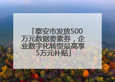 泰安市发放500万元数据要素券，企业数字化转型最高享5万元补贴