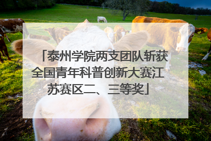 泰州学院两支团队斩获全国青年科普创新大赛江苏赛区二、三等奖