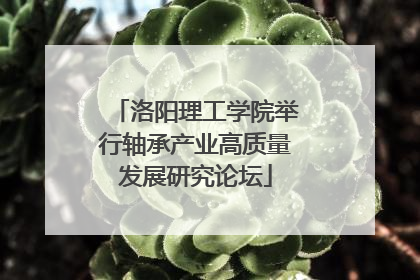 洛阳理工学院举行轴承产业高质量发展研究论坛