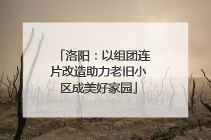 洛阳：以组团连片改造助力老旧小区成美好家园