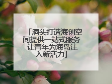 洞头打造海创空间提供一站式服务 让青年为海岛注入新活力