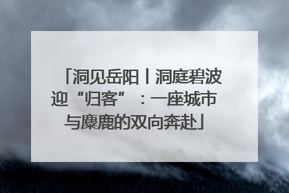 洞见岳阳丨洞庭碧波迎“归客”：一座城市与麋鹿的双向奔赴