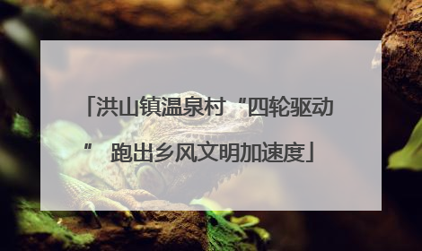 洪山镇温泉村“四轮驱动” 跑出乡风文明加速度