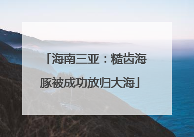 海南三亚：糙齿海豚被成功放归大海