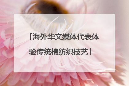 海外华文媒体代表体验传统棉纺织技艺