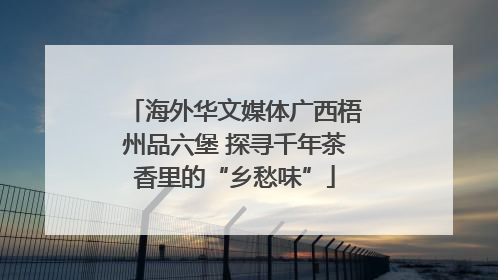 海外华文媒体广西梧州品六堡 探寻千年茶香里的“乡愁味”