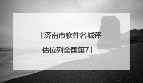 济南市软件名城评估位列全国第7