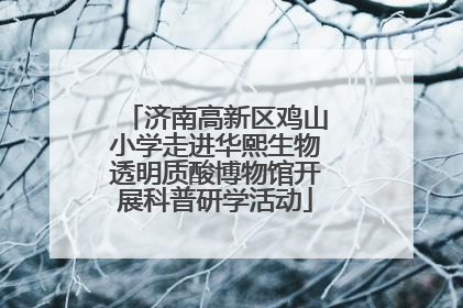 济南高新区鸡山小学走进华熙生物透明质酸博物馆开展科普研学活动