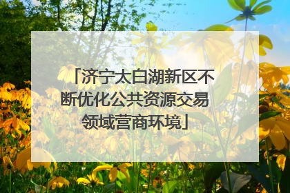 济宁太白湖新区不断优化公共资源交易领域营商环境