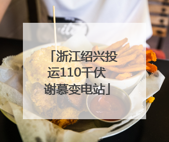 浙江绍兴投运110千伏谢慕变电站