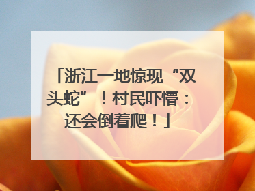 浙江一地惊现“双头蛇”！村民吓懵：还会倒着爬！