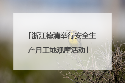 浙江德清举行安全生产月工地观摩活动