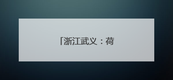 浙江武义：荷花产业助致富