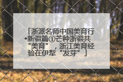 浙派名师中国美育行•新疆篇①芒种浙疆共“美育”，浙江美育经验在伊犁“发芽”