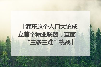 浦东这个人口大镇成立首个物业联盟，直面“三多三难”挑战