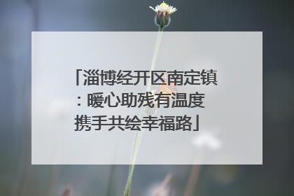 淄博经开区南定镇：暖心助残有温度 携手共绘幸福路
