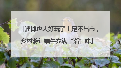 淄博也太好玩了！足不出市，乡村游让端午充满“淄”味