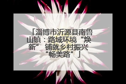 淄博市沂源县南鲁山镇：路域环境“焕新” 铺就乡村振兴“畅美路”