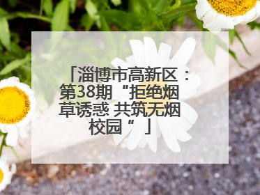 淄博市高新区：第38期“拒绝烟草诱惑 共筑无烟校园 ”
