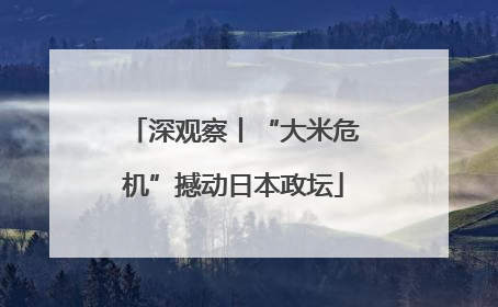 深观察丨“大米危机”撼动日本政坛
