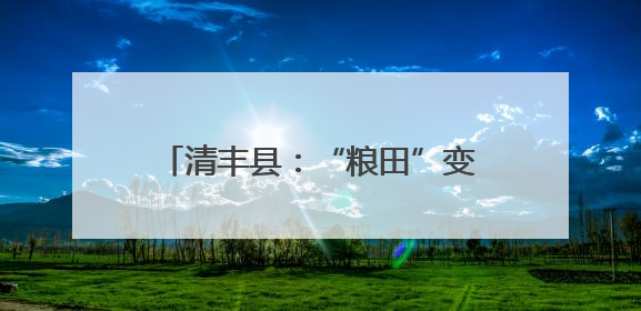 清丰县：“粮田”变“良田”村民笑开颜