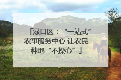 渌口区：“一站式”农事服务中心 让农民种地“不操心”