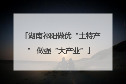 湖南祁阳做优“土特产” 做强“大产业”