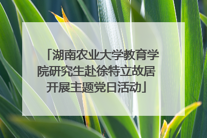 湖南农业大学教育学院研究生赴徐特立故居开展主题党日活动