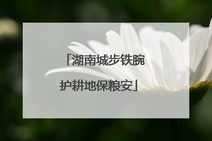 湖南城步铁腕护耕地保粮安