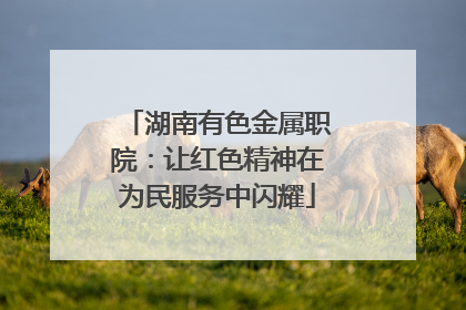 湖南有色金属职院：让红色精神在为民服务中闪耀
