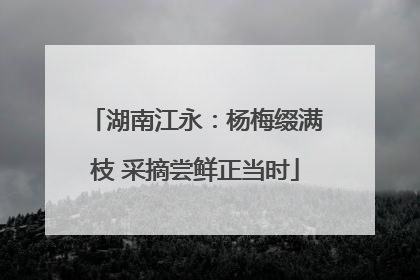 湖南江永：杨梅缀满枝 采摘尝鲜正当时