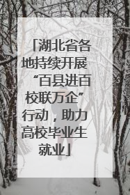 湖北省各地持续开展“百县进百校联万企”行动，助力高校毕业生就业