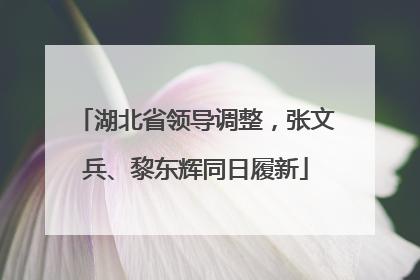 湖北省领导调整，张文兵、黎东辉同日履新