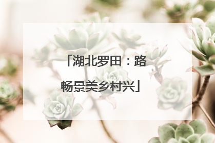 湖北罗田：路畅景美乡村兴