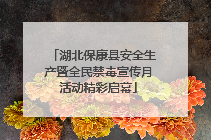 湖北保康县安全生产暨全民禁毒宣传月活动精彩启幕
